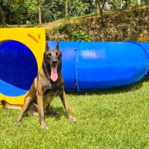 Túnel Pet 3 Curvas de 90° Circuito Agility Krenke 3,08 m